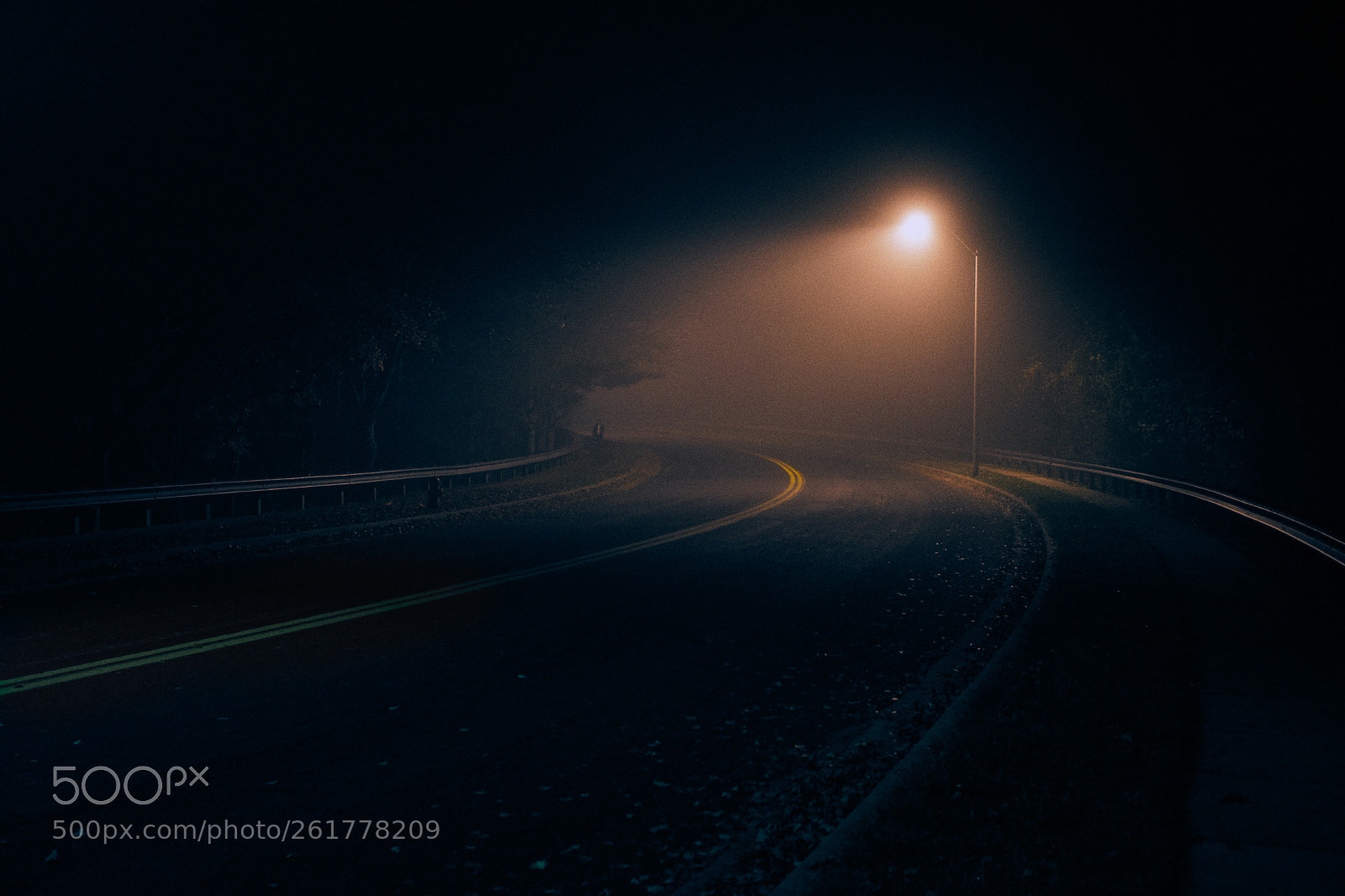 Sony a7 II sample photo. Untitled photography