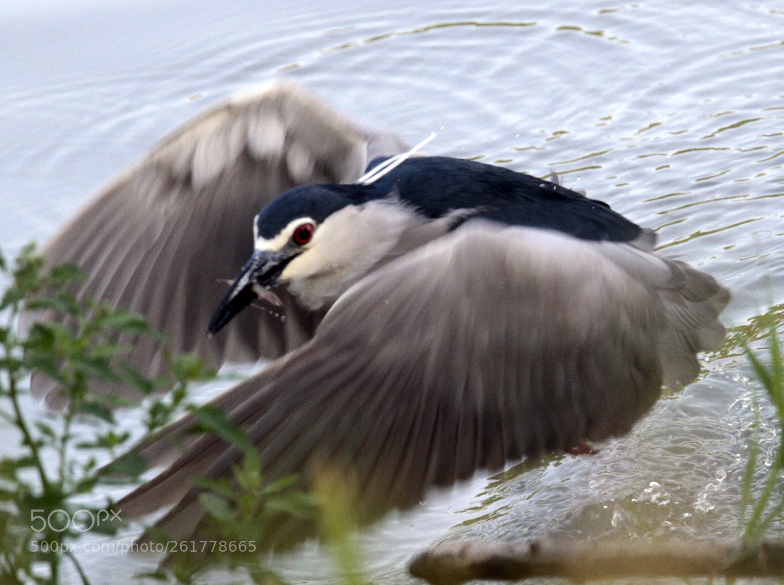 Canon EOS 7D sample photo. Hunting photography