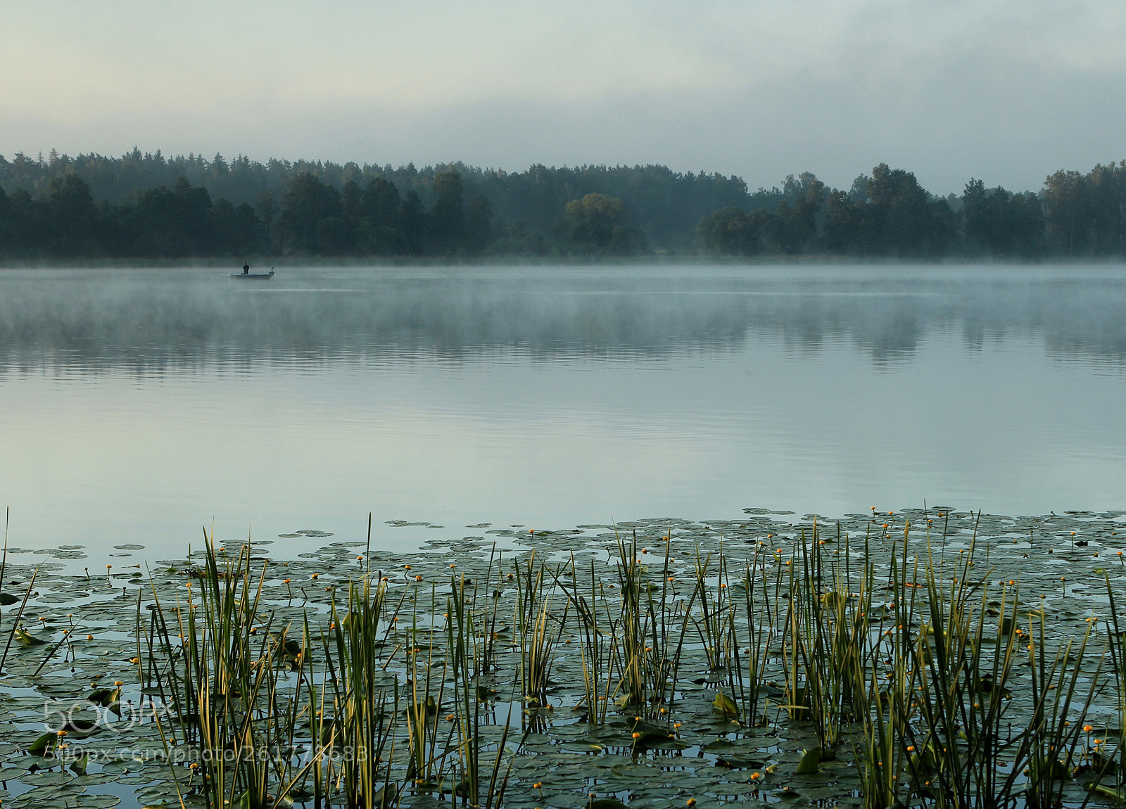 Canon EOS 600D (Rebel EOS T3i / EOS Kiss X5) sample photo. Fisherman's morning photography