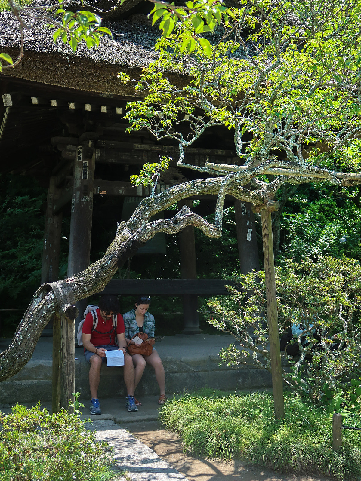 Canon PowerShot G7 X Mark II sample photo. Spring scene in kamakura photography