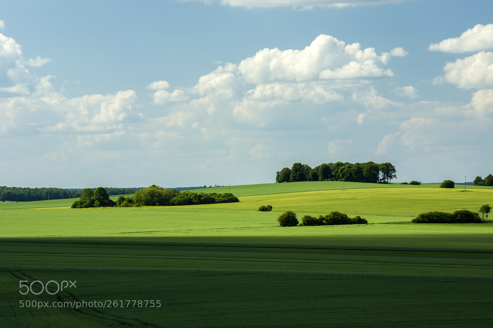 Nikon D5200 sample photo. Green fields, copses and photography
