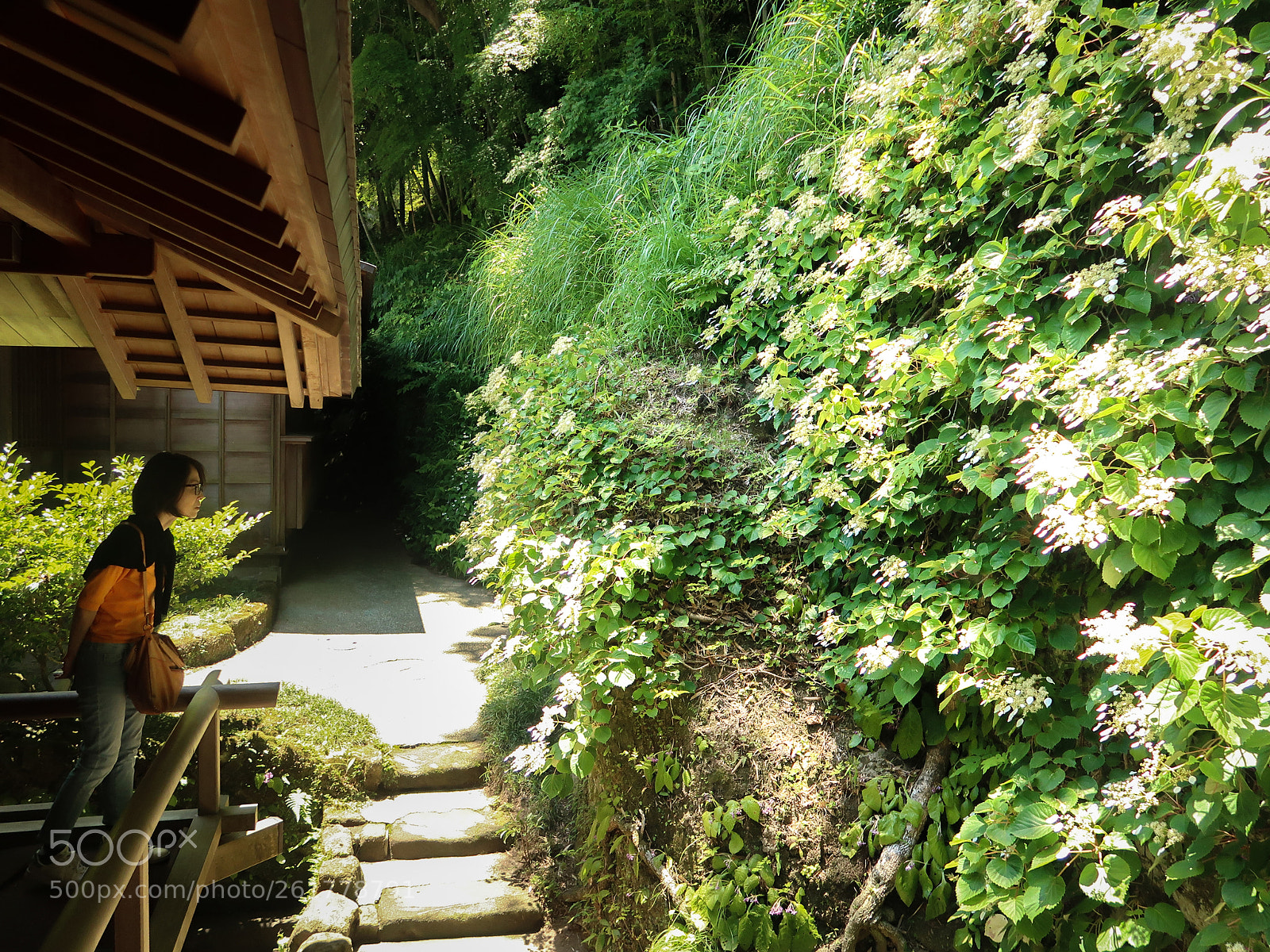 Canon PowerShot G7 X Mark II sample photo. Spring scene in kamakura photography