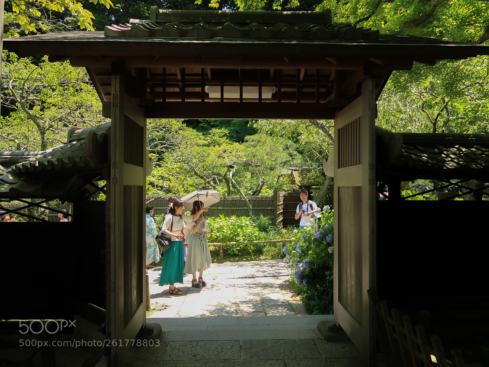 Canon PowerShot G7 X Mark II sample photo. Spring scene in kamakura photography