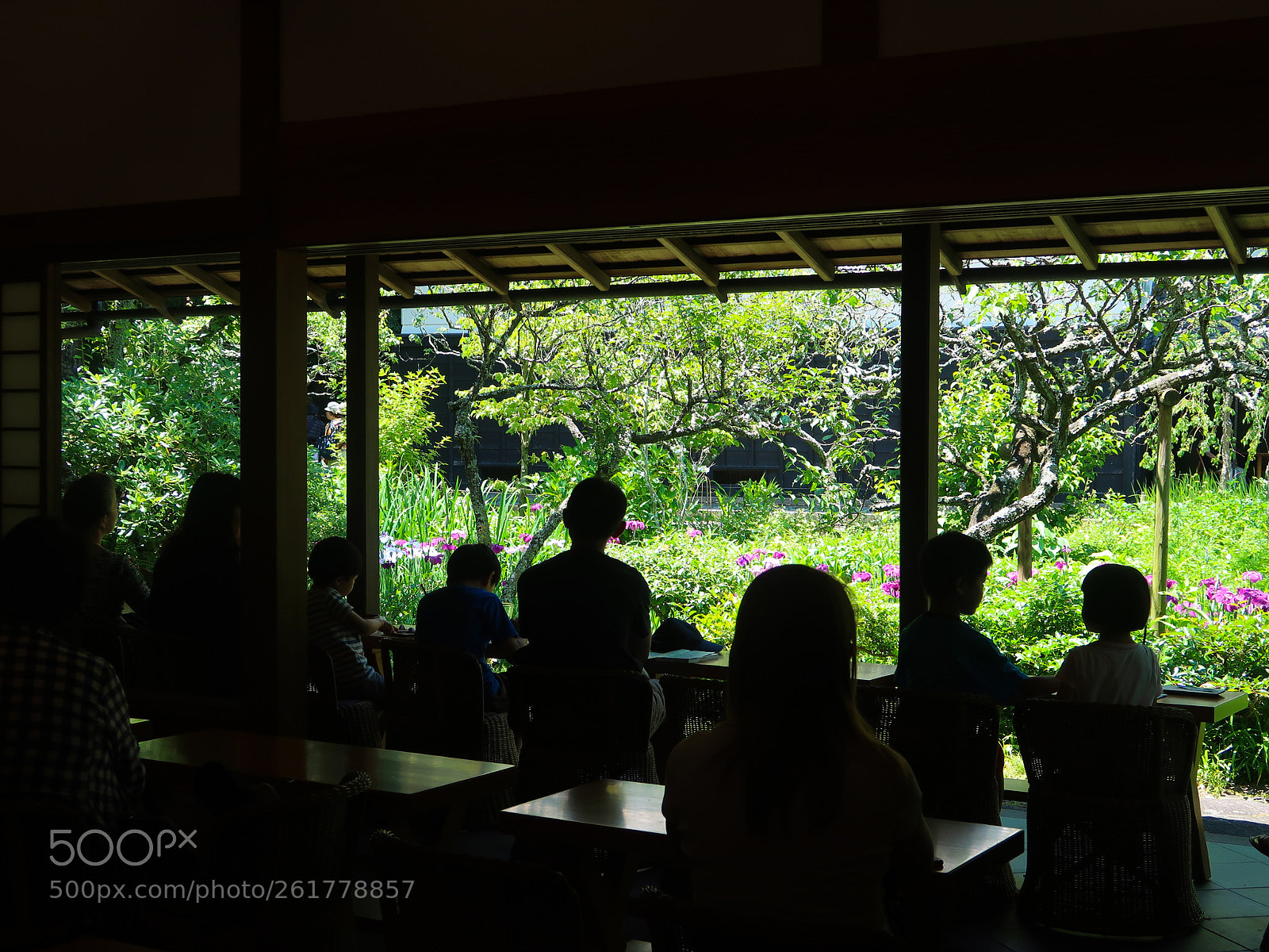 Canon PowerShot G7 X Mark II sample photo. Spring scene in kamakura photography