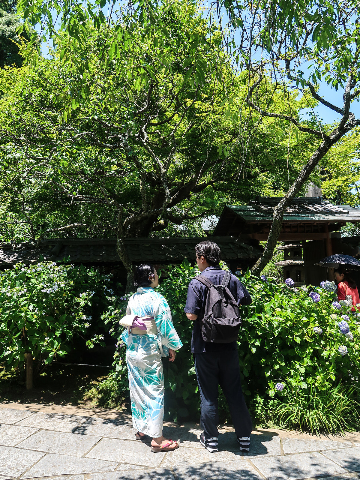 Canon PowerShot G7 X Mark II sample photo. Spring scene in kamakura photography