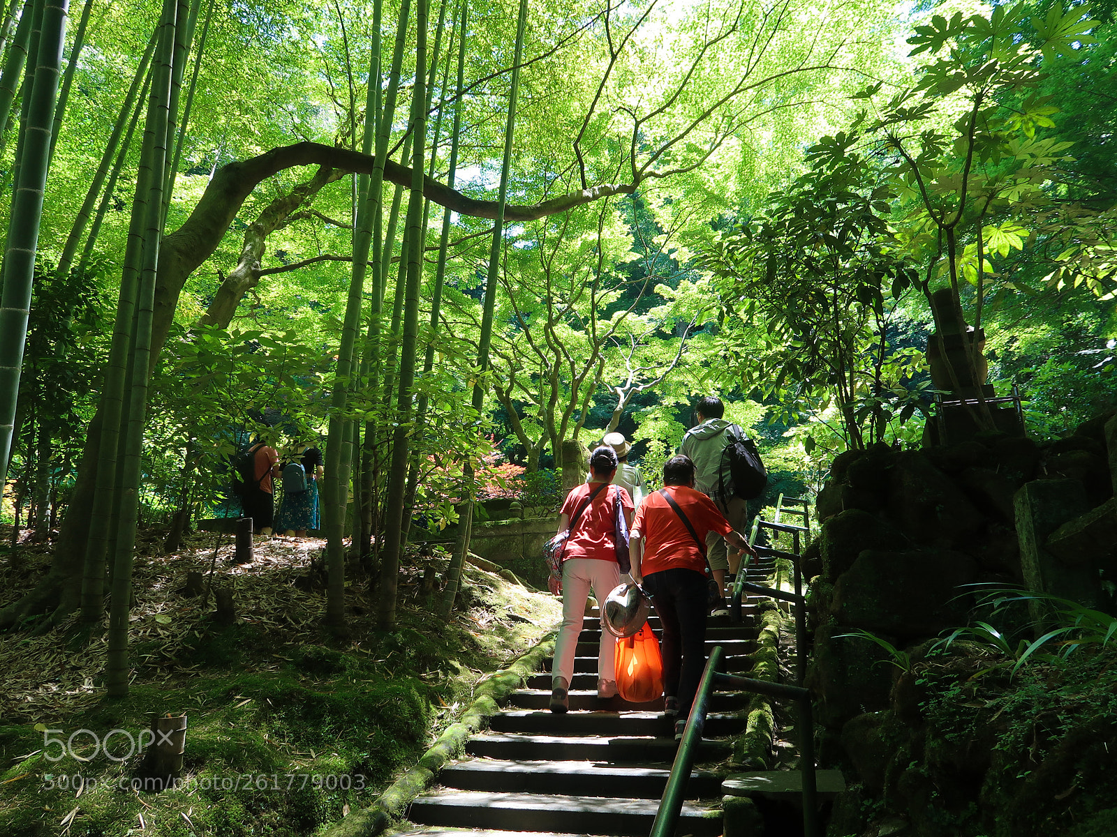 Canon PowerShot G7 X Mark II sample photo. Spring scene in kamakura photography