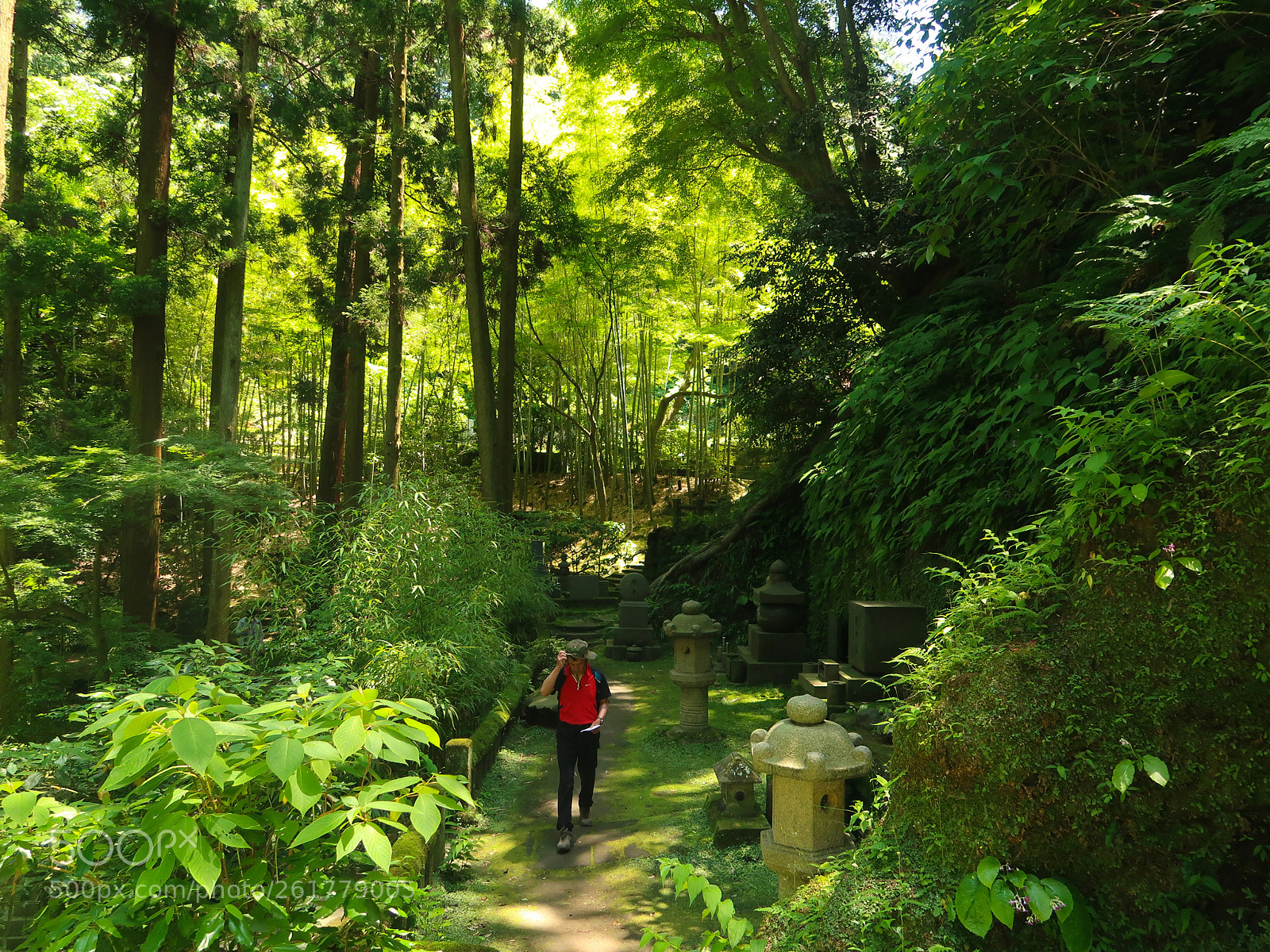 Canon PowerShot G7 X Mark II sample photo. Spring scene in kamakura photography