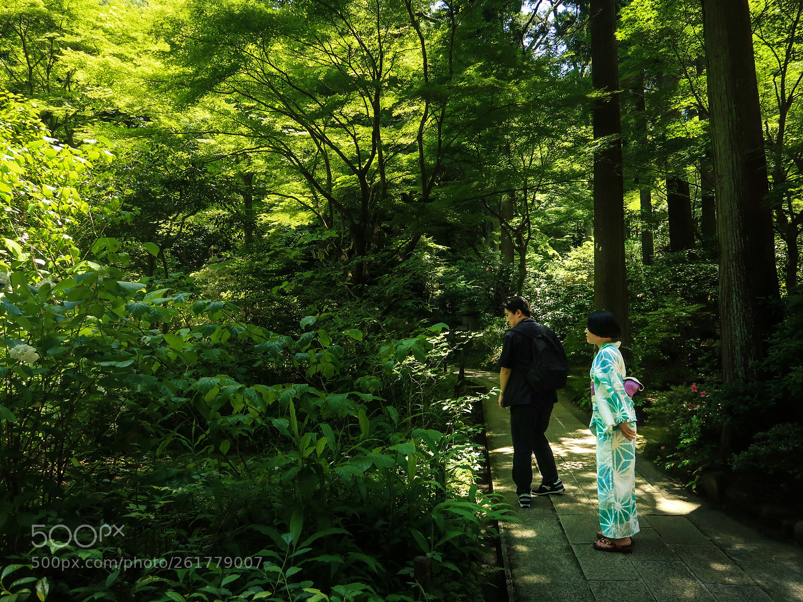 Canon PowerShot G7 X Mark II sample photo. Spring scene in kamakura photography