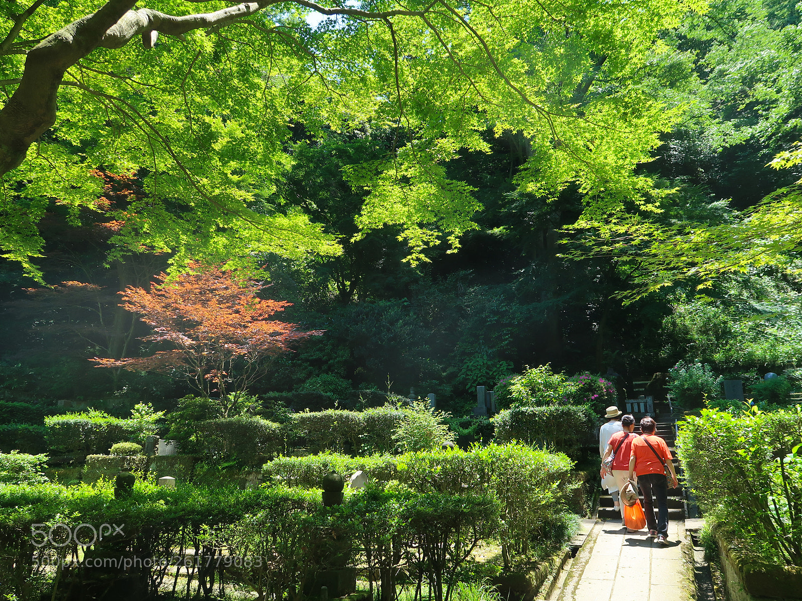 Canon PowerShot G7 X Mark II sample photo. Spring scene in kamakura photography