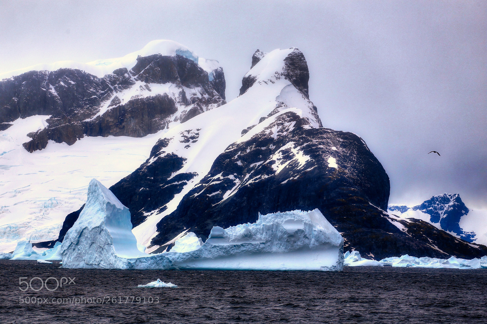 Canon EOS 6D + Canon EF 70-200mm F4L USM sample photo. Reclining antarctic horse photography