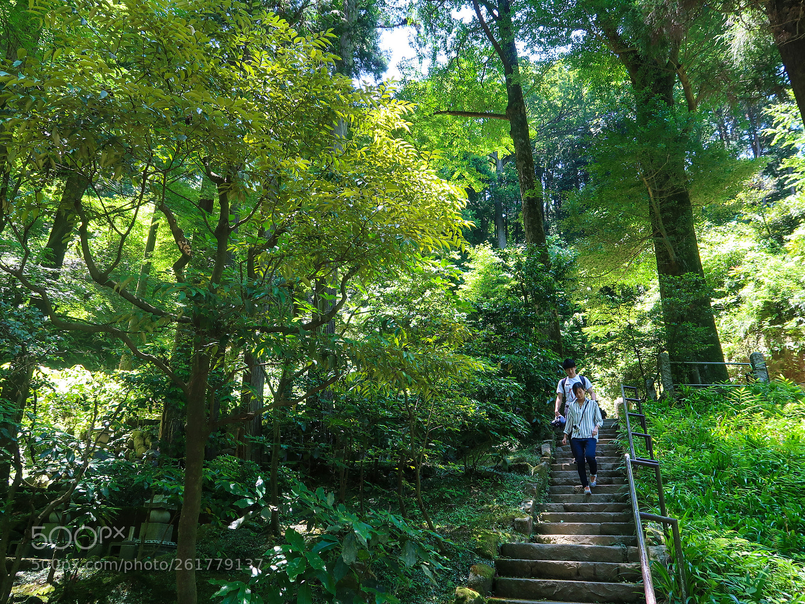 Canon PowerShot G7 X Mark II sample photo. Spring scene in kamakura photography