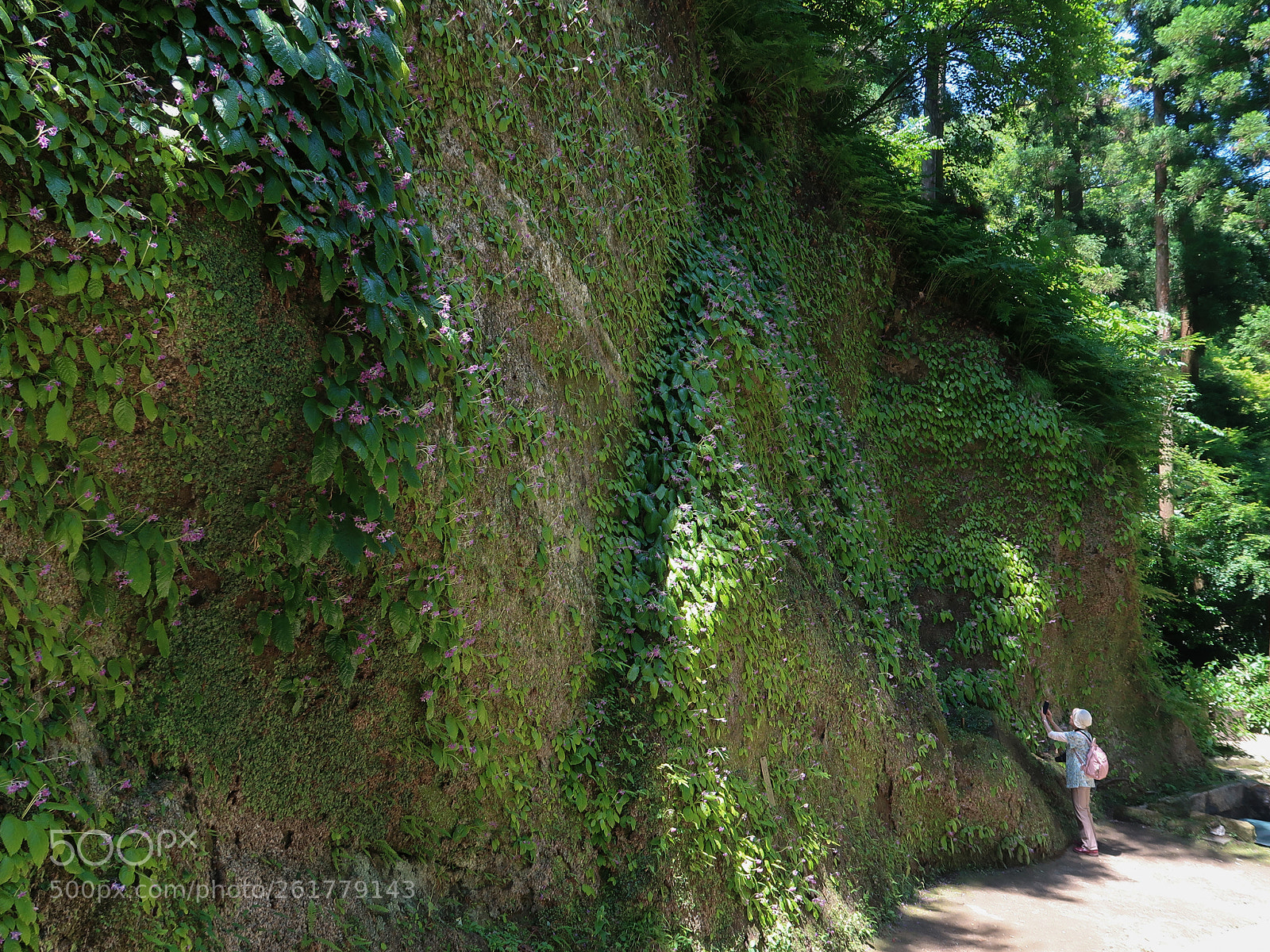 Canon PowerShot G7 X Mark II sample photo. Spring scene in kamakura photography