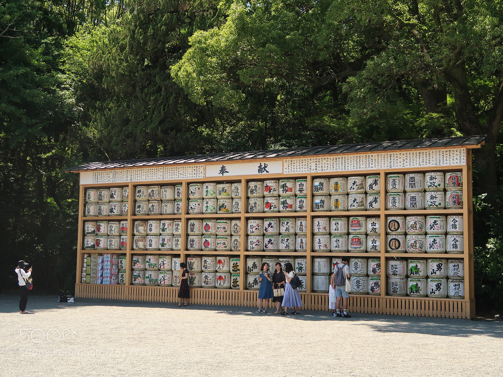 Canon PowerShot G7 X Mark II sample photo. Spring scene in kamakura photography