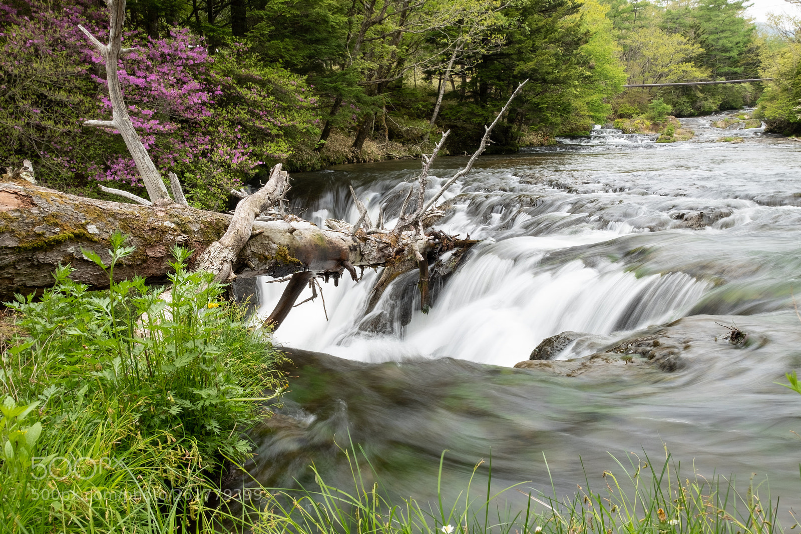 Fujifilm X-T2 sample photo. Mountain stream spring photography