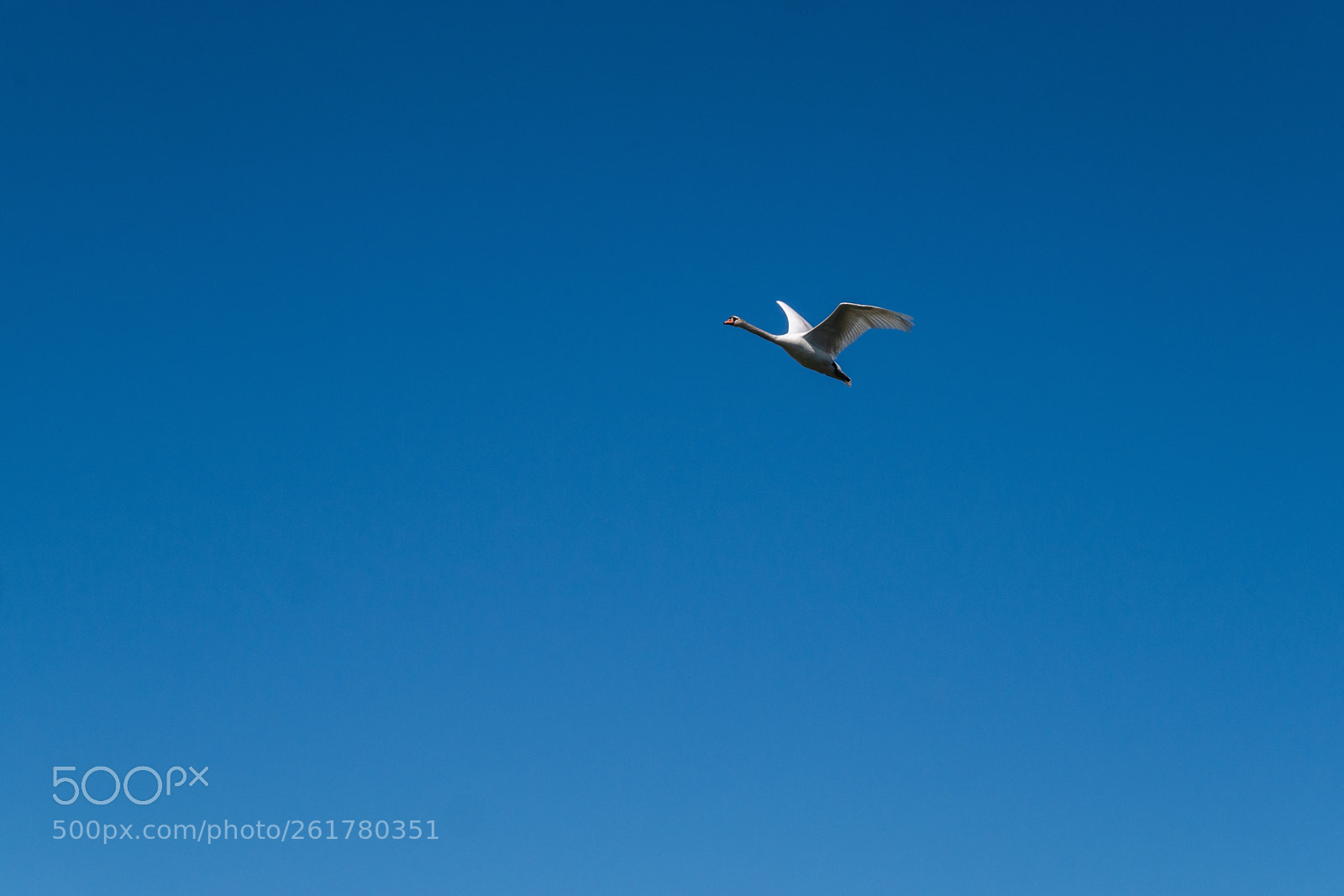 Panasonic Lumix DMC-GX7 sample photo. Into the blue photography