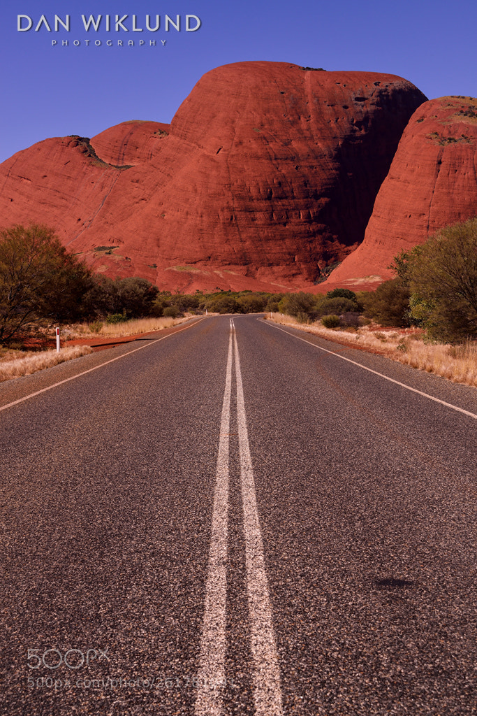 Nikon D800 sample photo. On the road to photography