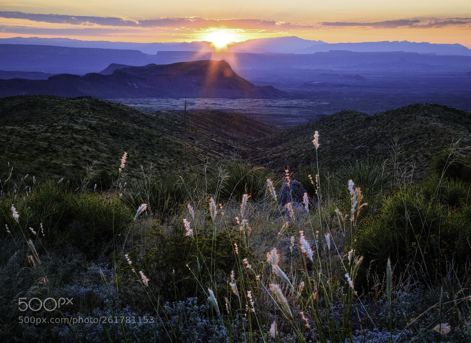 Canon EOS 5D Mark IV sample photo. Sunset in big bend photography