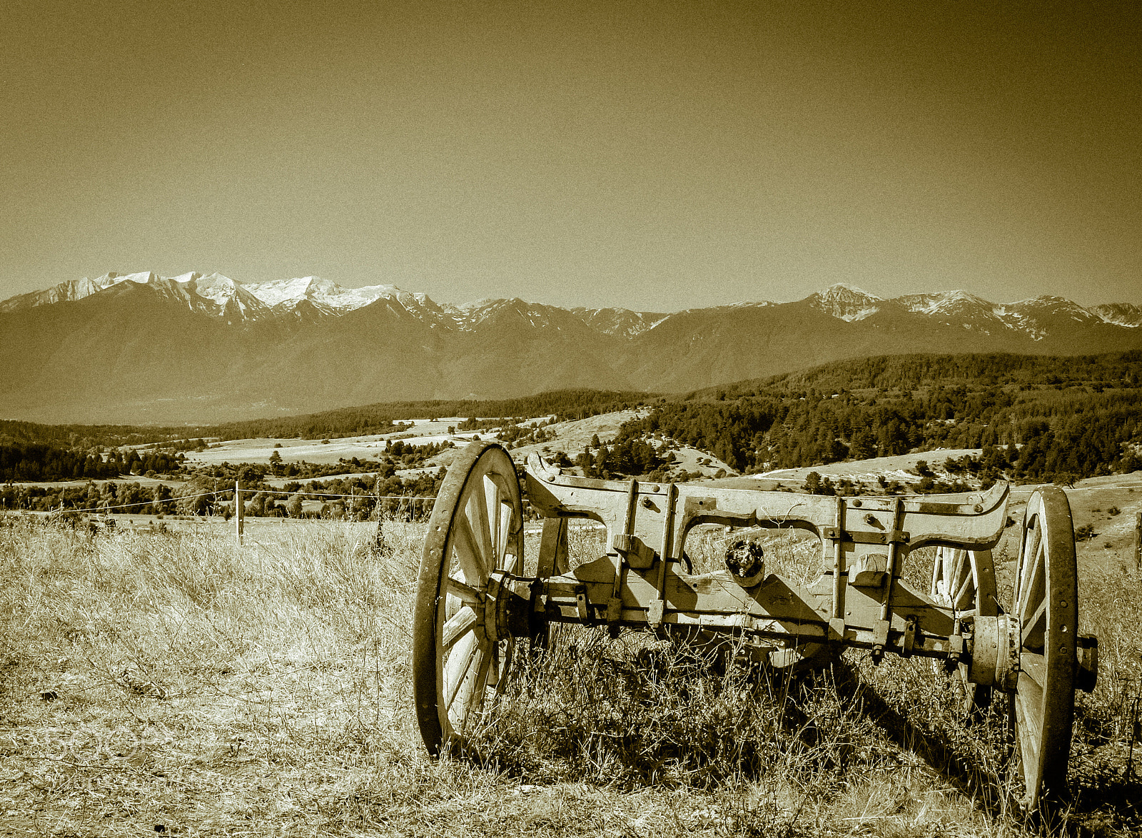 Samsung NX30 sample photo. The cart and the photography