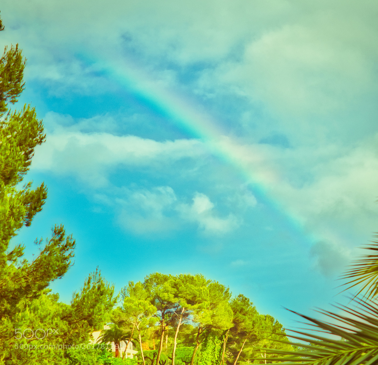 Olympus OM-D E-M1 Mark II sample photo. Post thunderstorm rainbow in photography