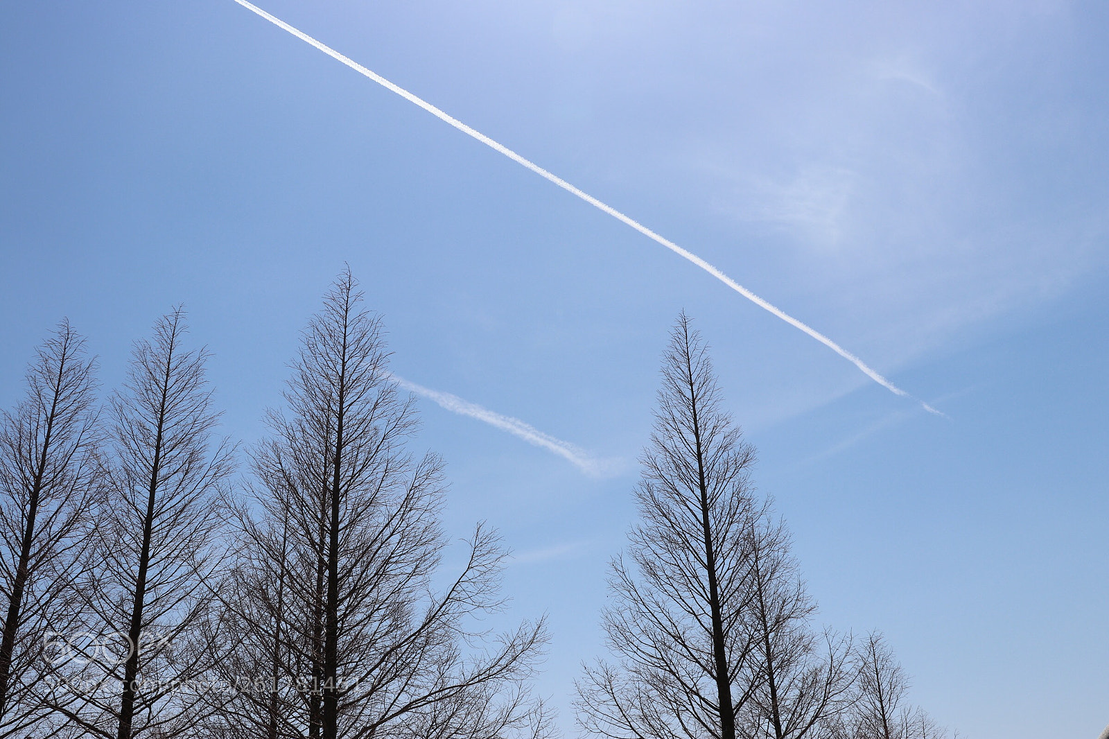 Canon EOS 200D (EOS Rebel SL2 / EOS Kiss X9) sample photo. Two lines photography