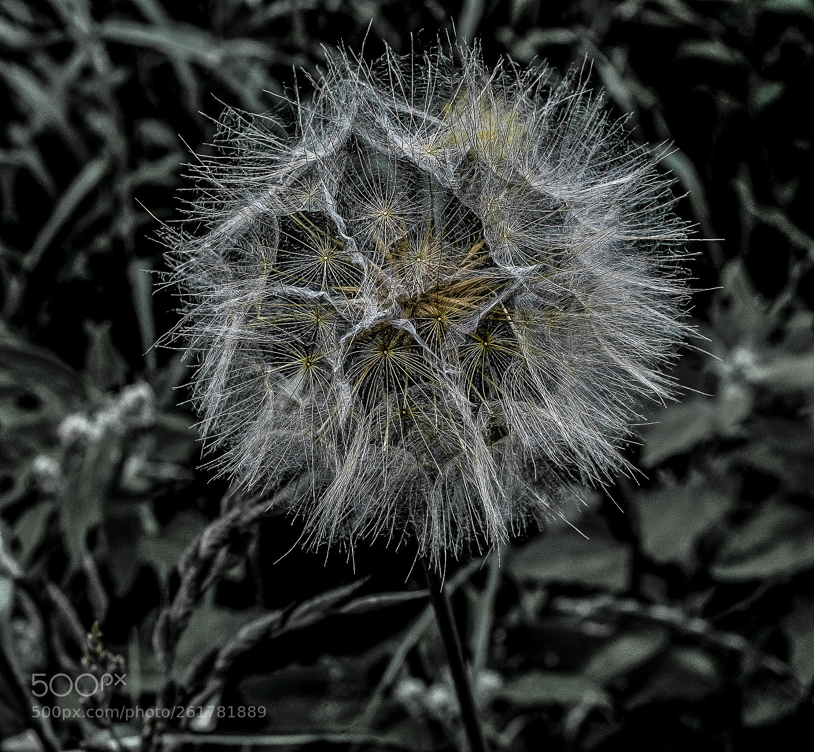 Fujifilm X100S sample photo. Fireworks in nature photography