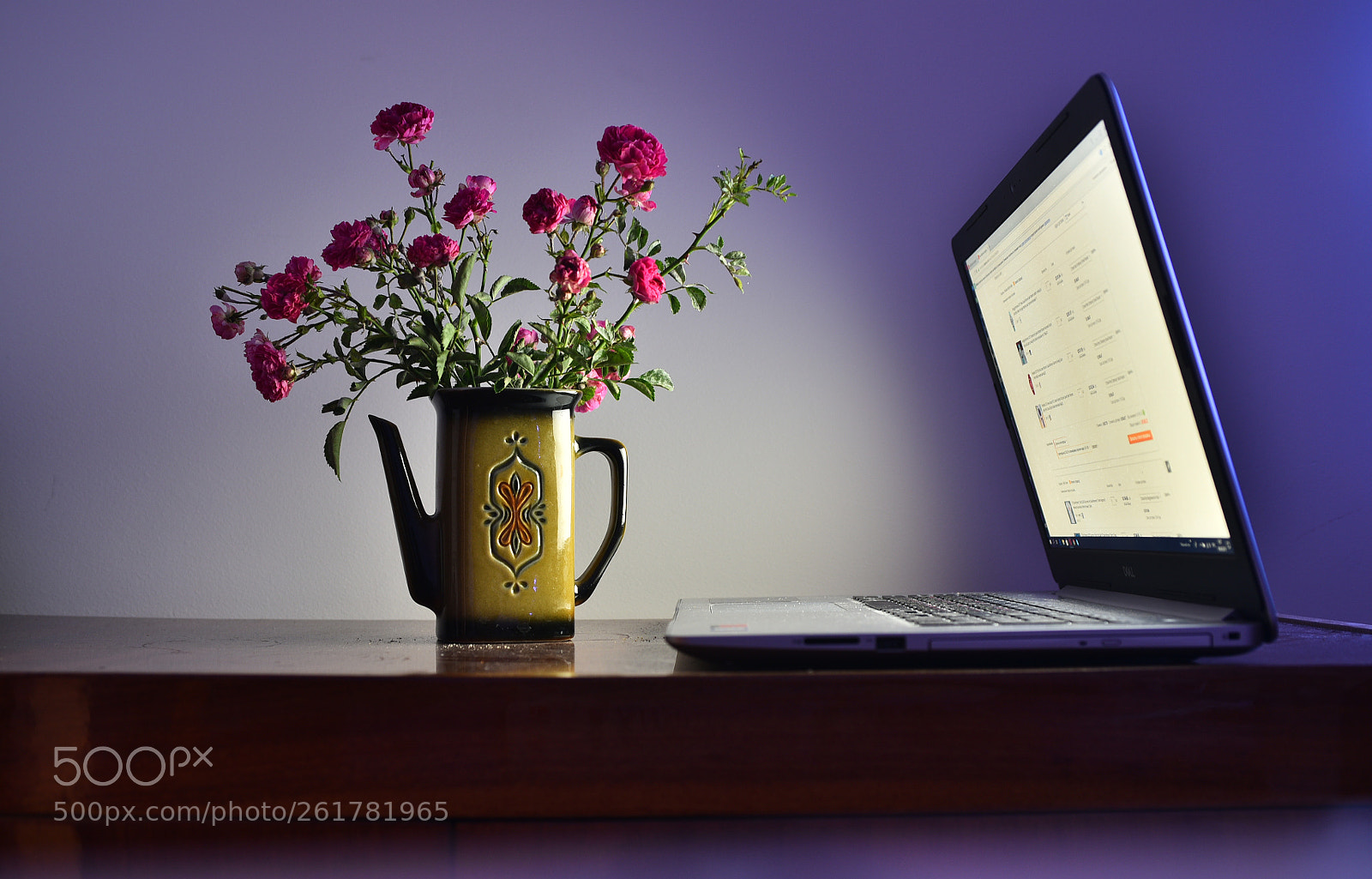 Nikon D750 sample photo. A photography