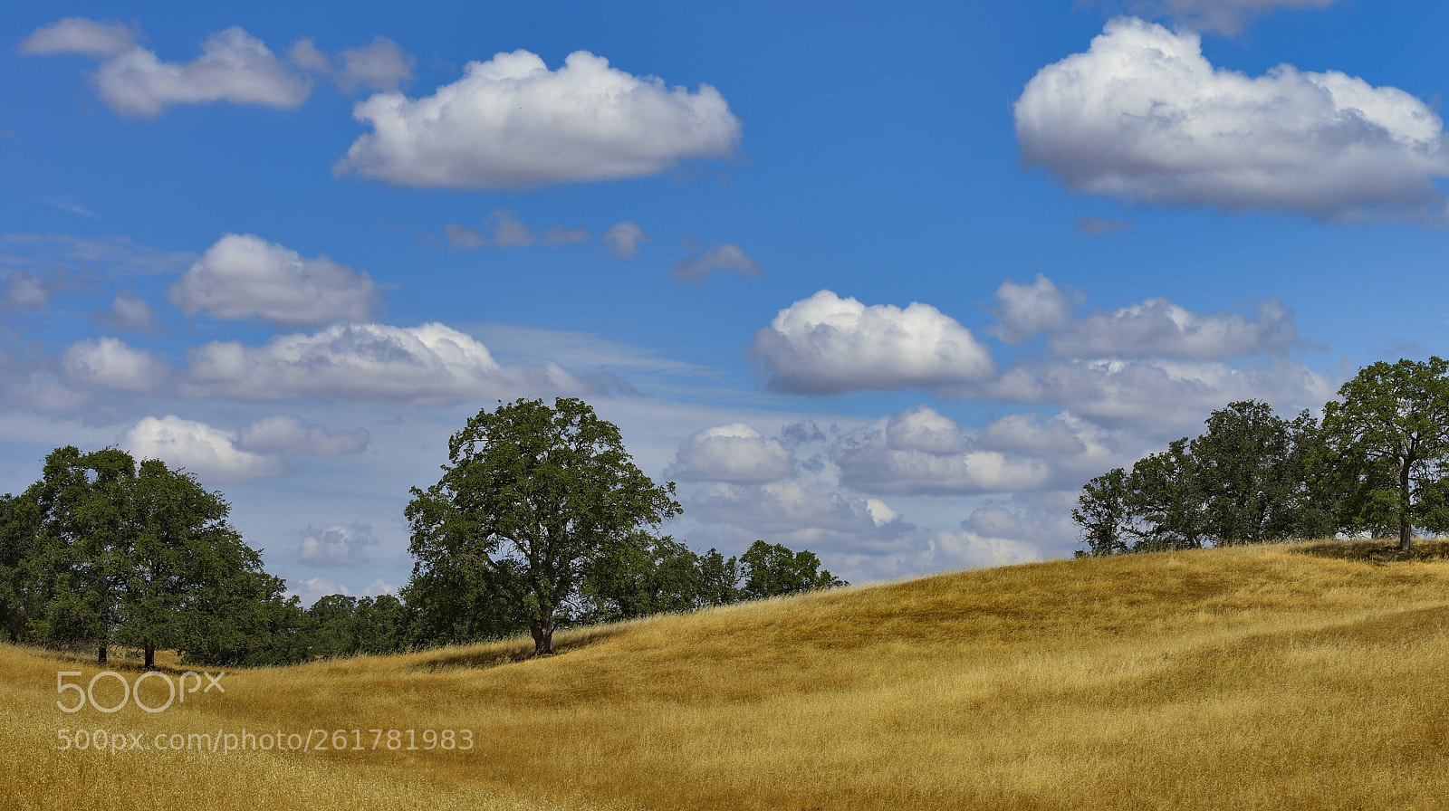 Nikon D800E sample photo. The hills photography
