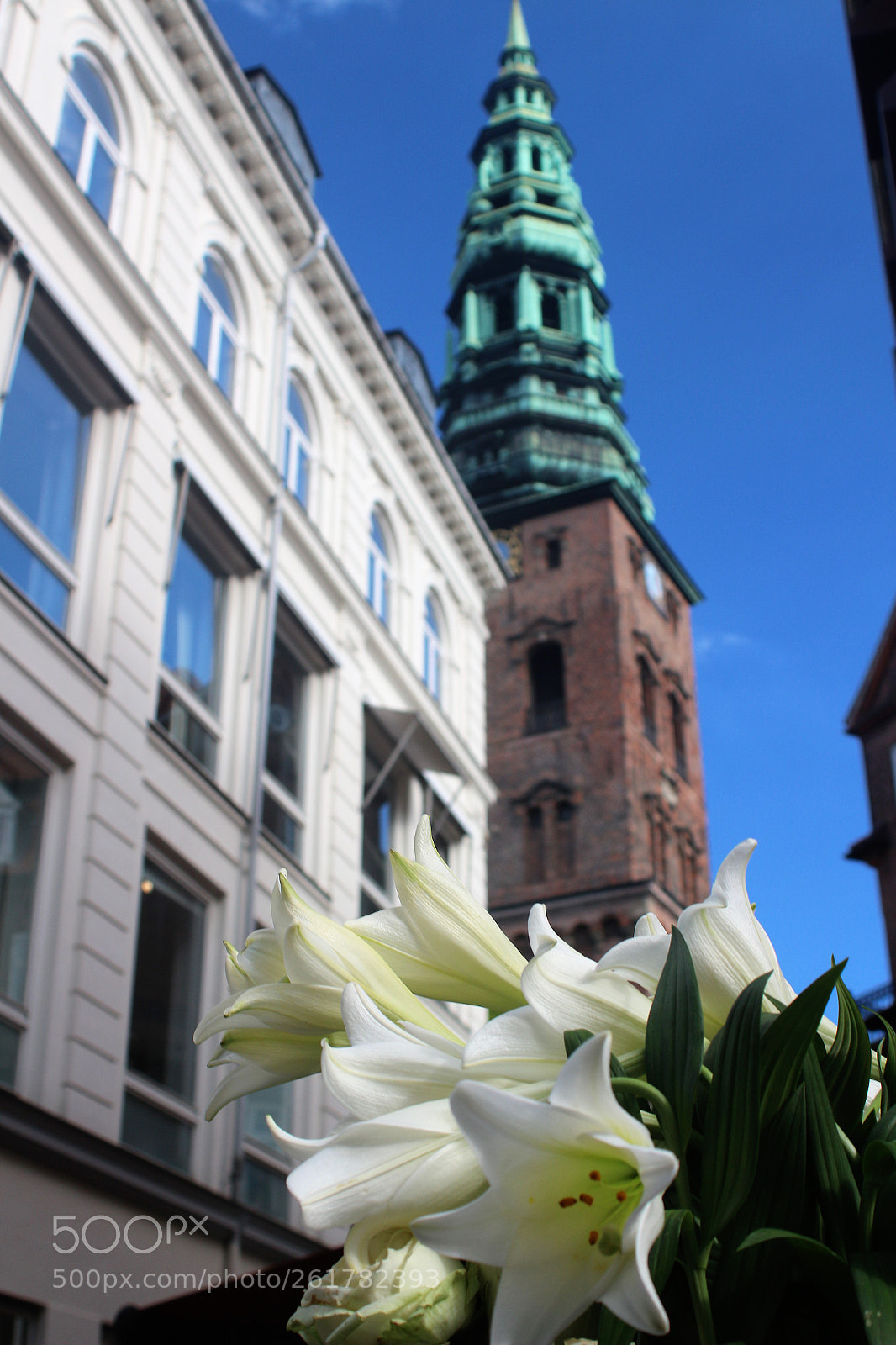 Canon EOS 100D (EOS Rebel SL1 / EOS Kiss X7) sample photo. Choice of perspective photography