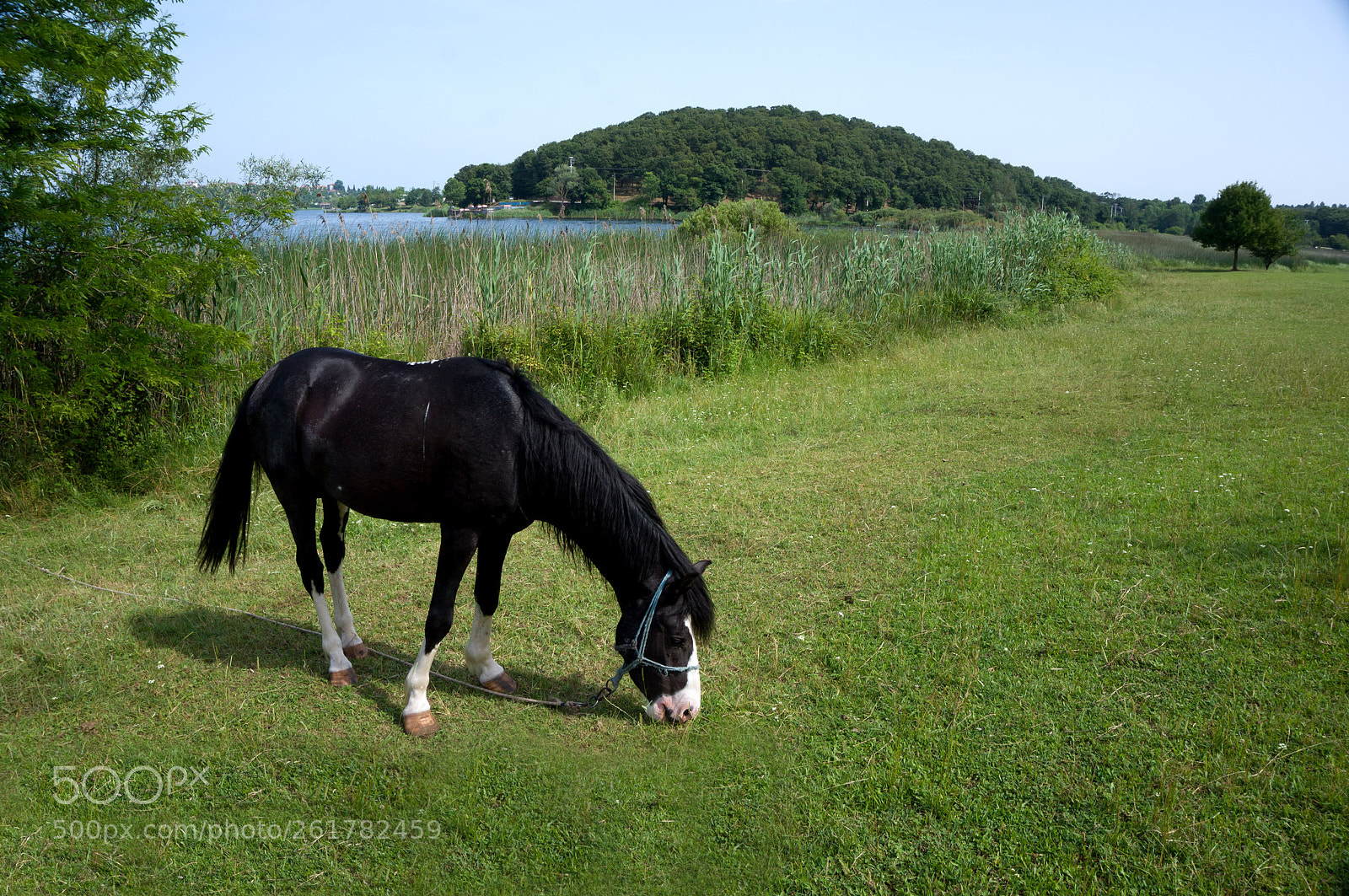 Sony Alpha NEX-3N sample photo. Poyrazlar lake photography