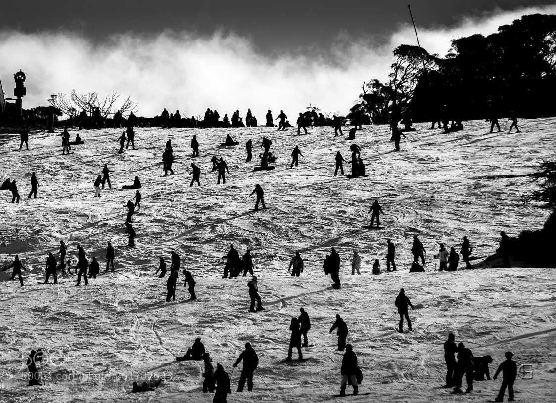 Nikon D750 sample photo. Perisher valley photography