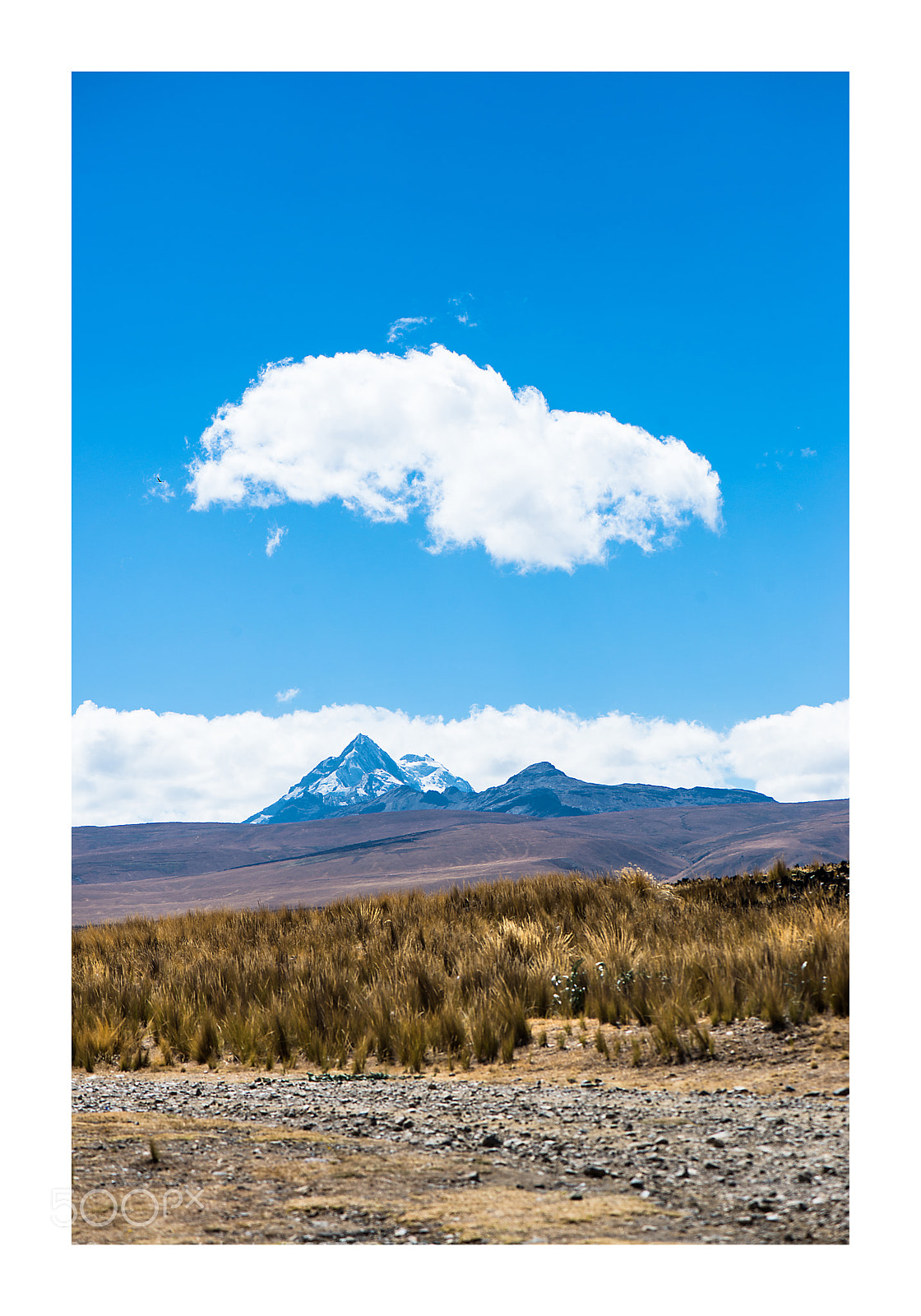 Nikon D610 sample photo. Conexión... photography