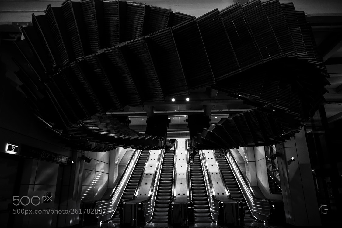 Nikon D750 sample photo. Wynyard station photography