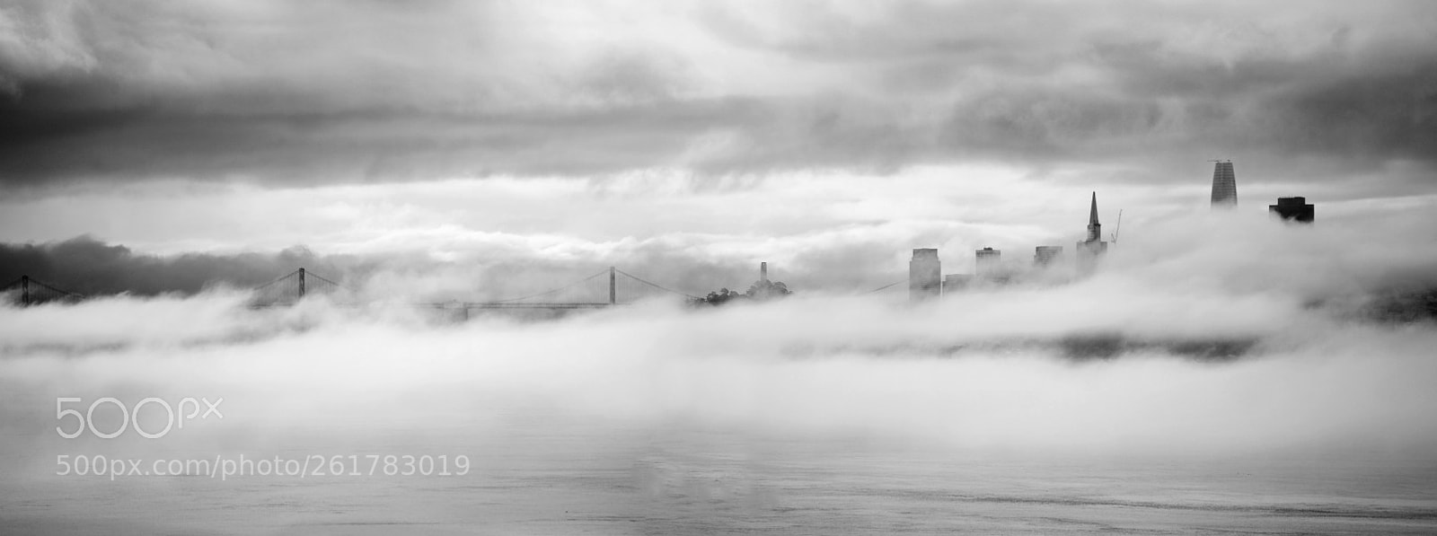 Nikon Df sample photo. Wide foggy sf photography