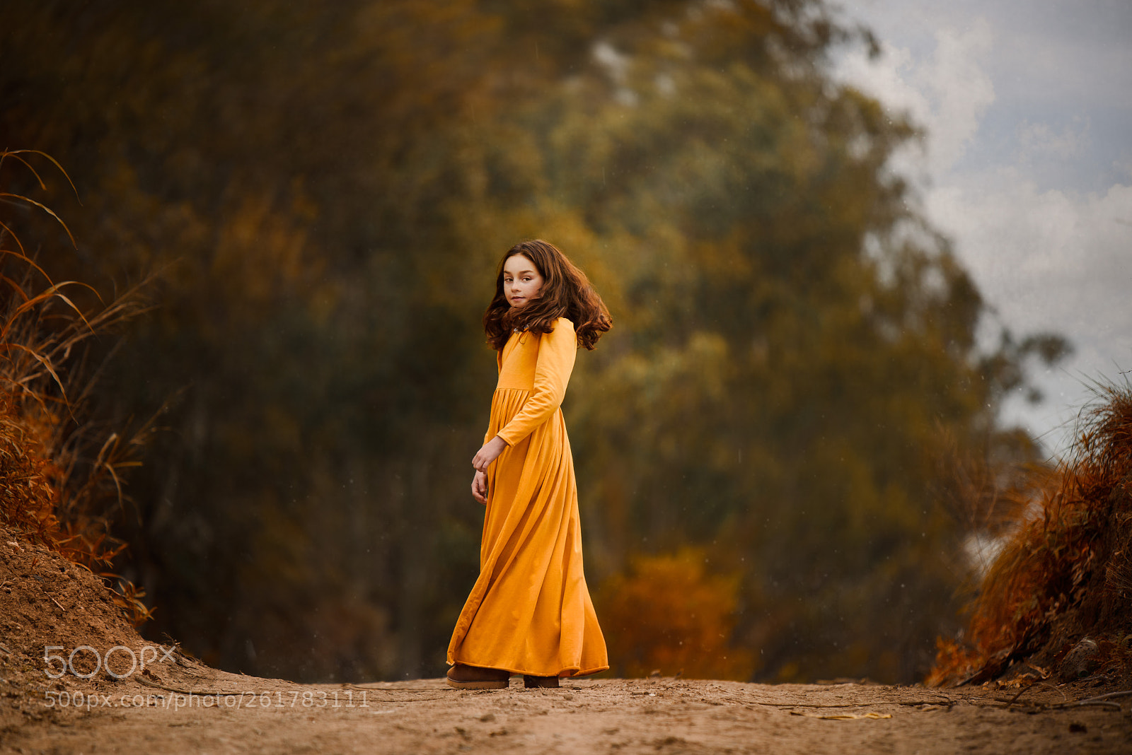 Nikon D750 sample photo. Yellow days photography