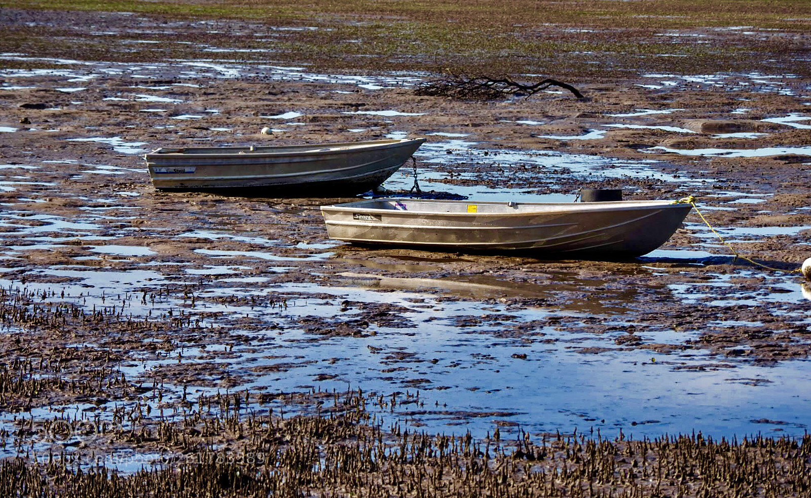 Olympus OM-D E-M1 Mark II sample photo. Mud photography