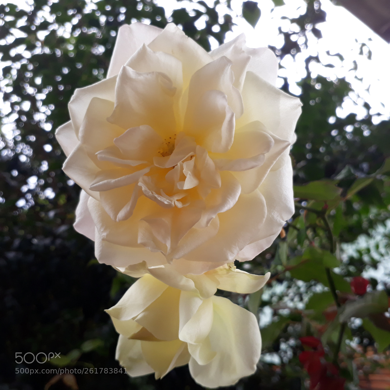 Samsung Galaxy J7 Prime sample photo. Untitled photography