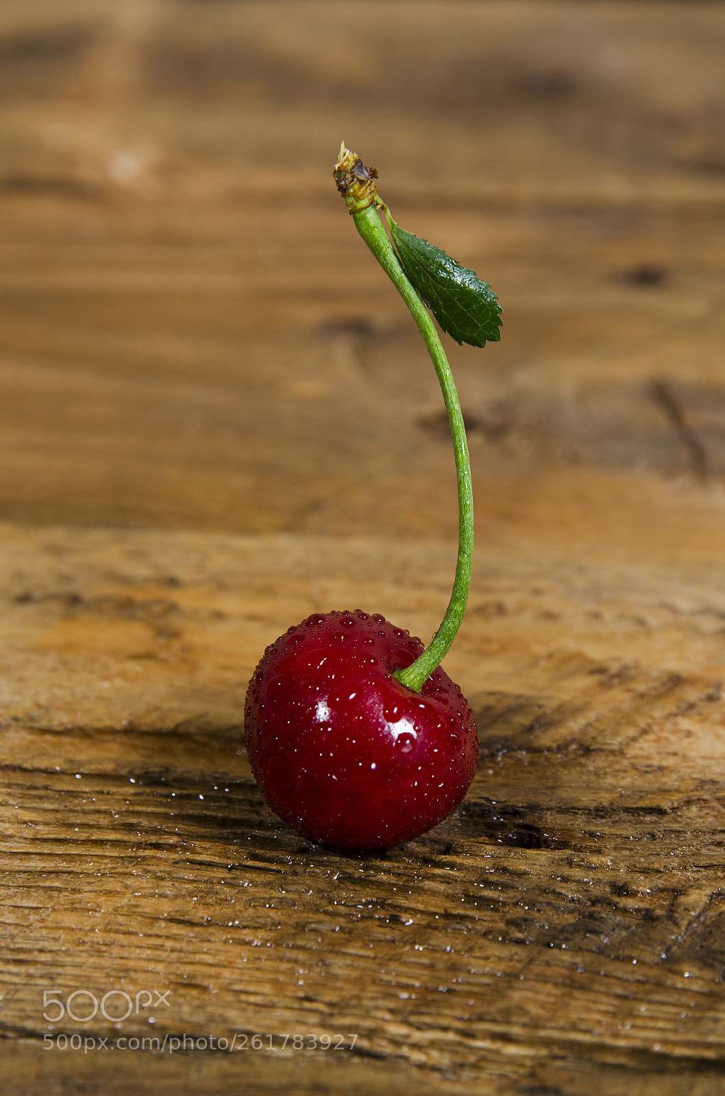 Nikon D5100 sample photo. Wet cherry on a photography