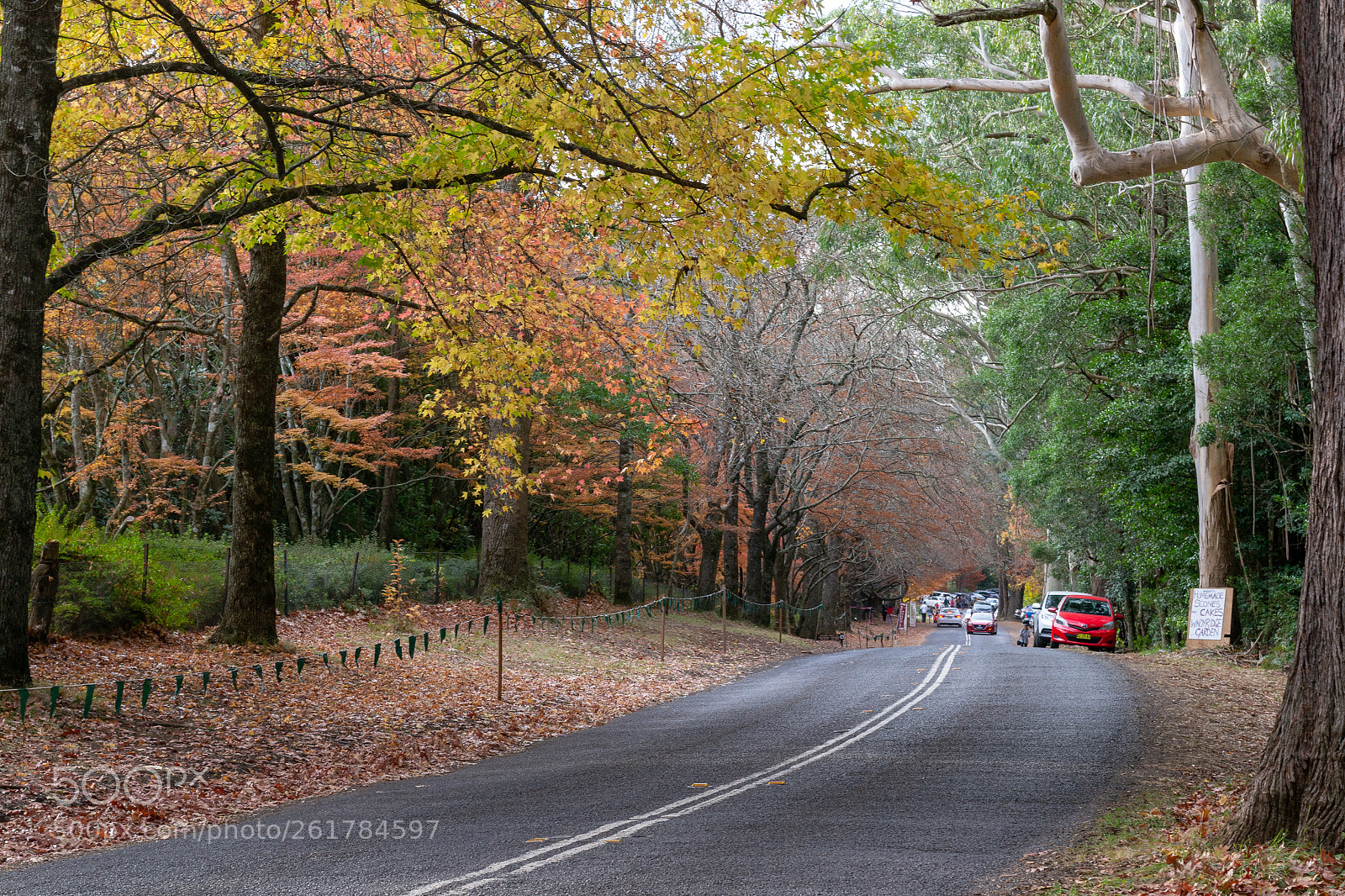 Nikon D3100 sample photo. Mount wilson, australia photography