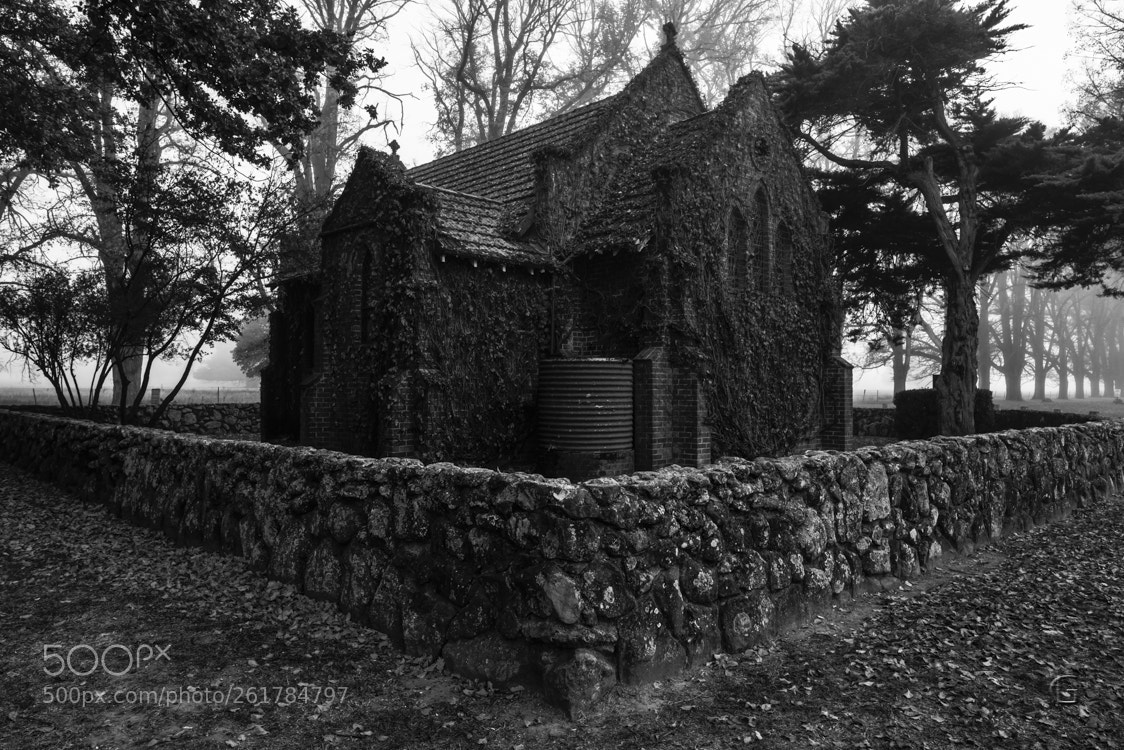 Nikon D750 sample photo. Gostwyck chapel photography
