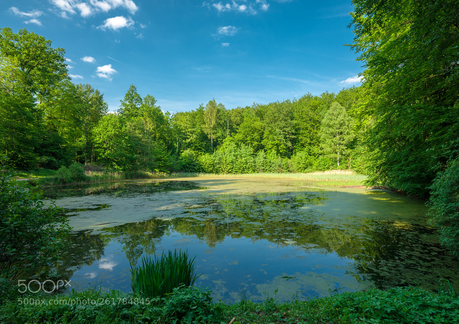 Fujifilm GFX 50S sample photo. The klusteich in southern photography