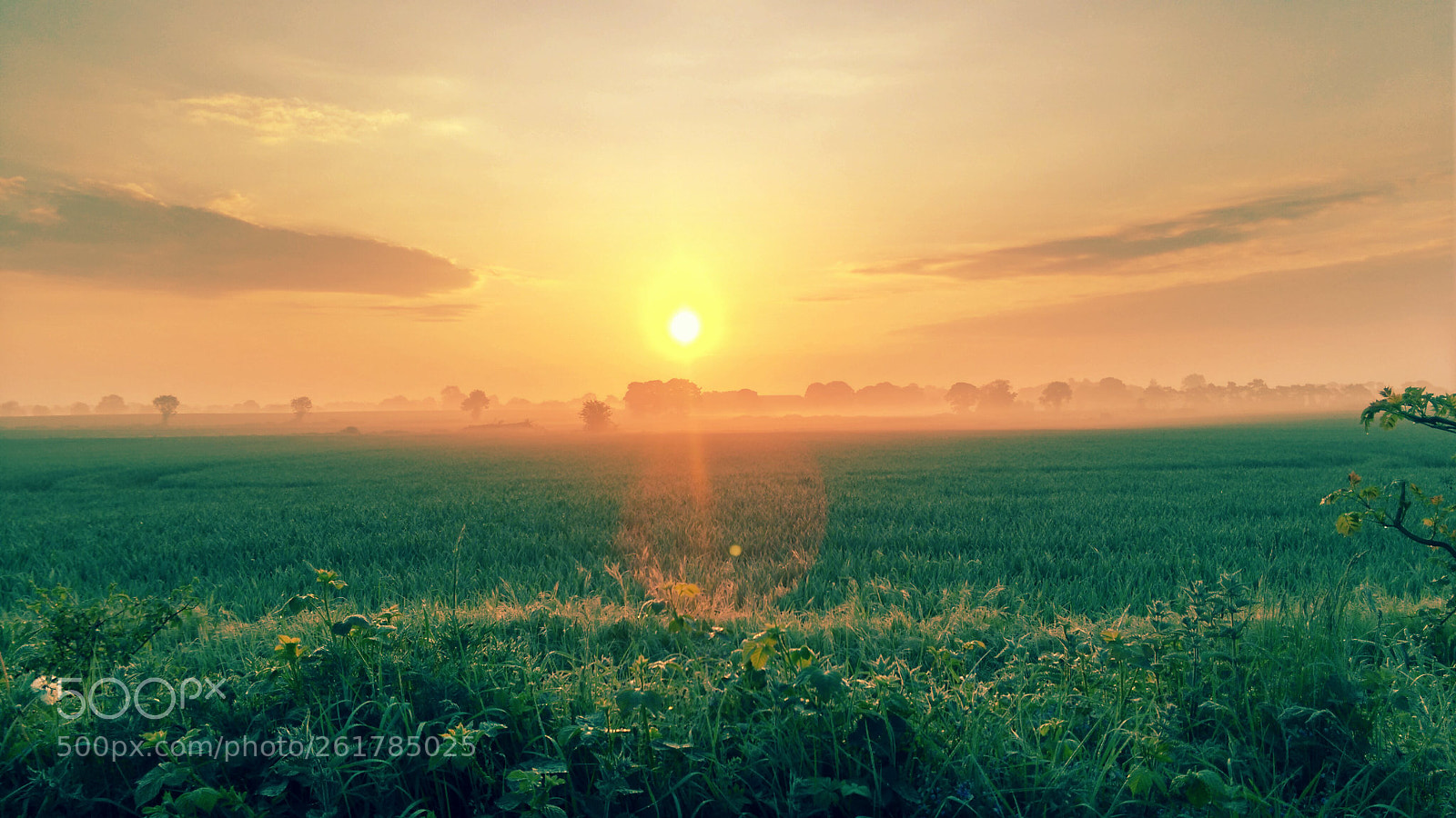 HTC ONE M8S sample photo. Sunrise photography