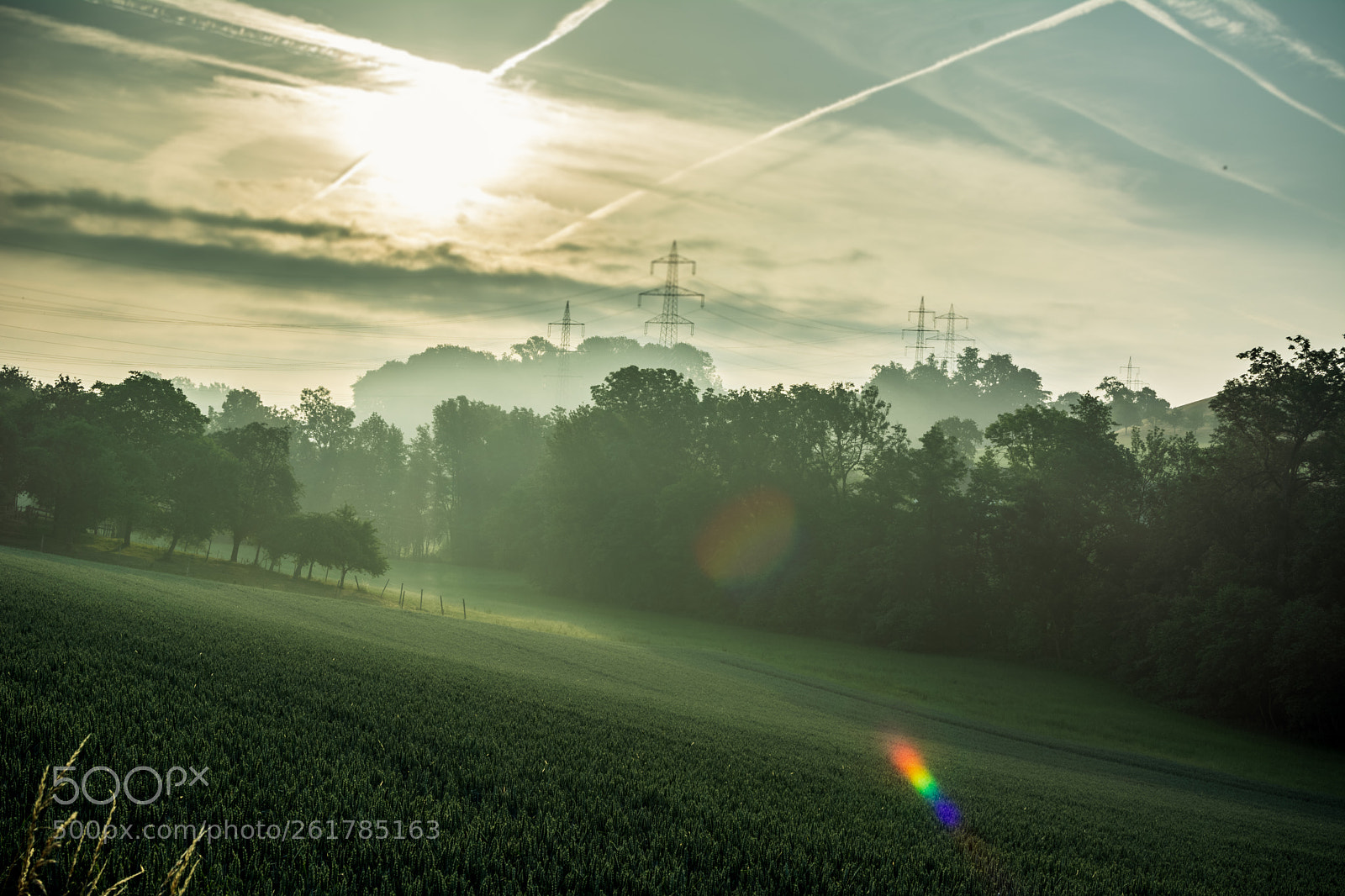 Nikon D5200 sample photo. Misty morning photography