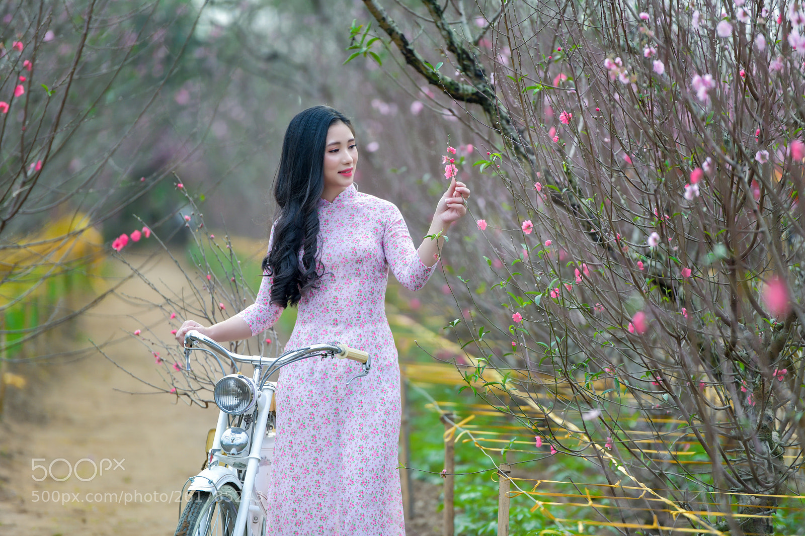 Nikon D850 sample photo. Vietnam traditional dress photography