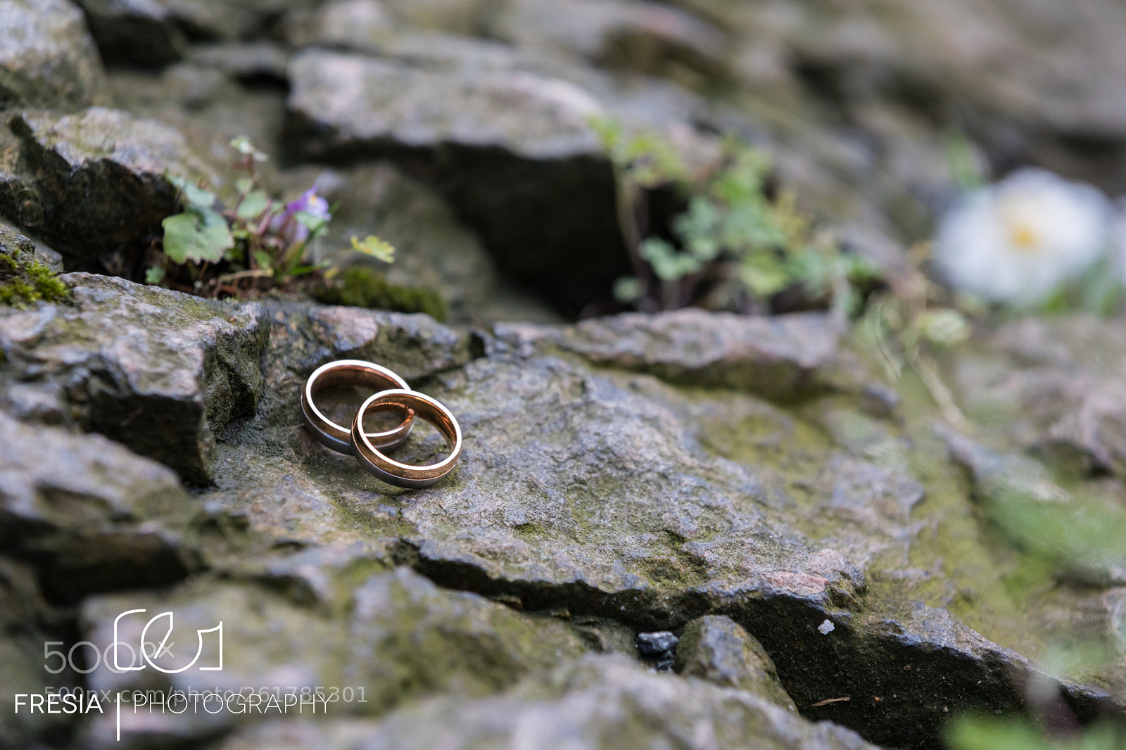 Canon EOS 5D Mark IV sample photo. Mg photography