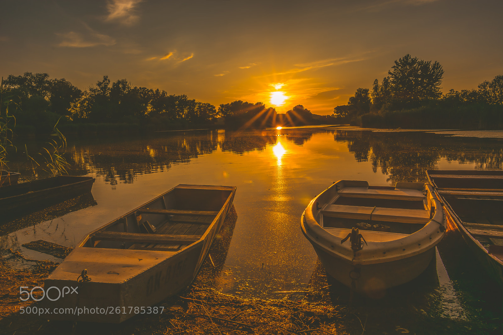 Nikon D7100 sample photo. Golden sunset photography