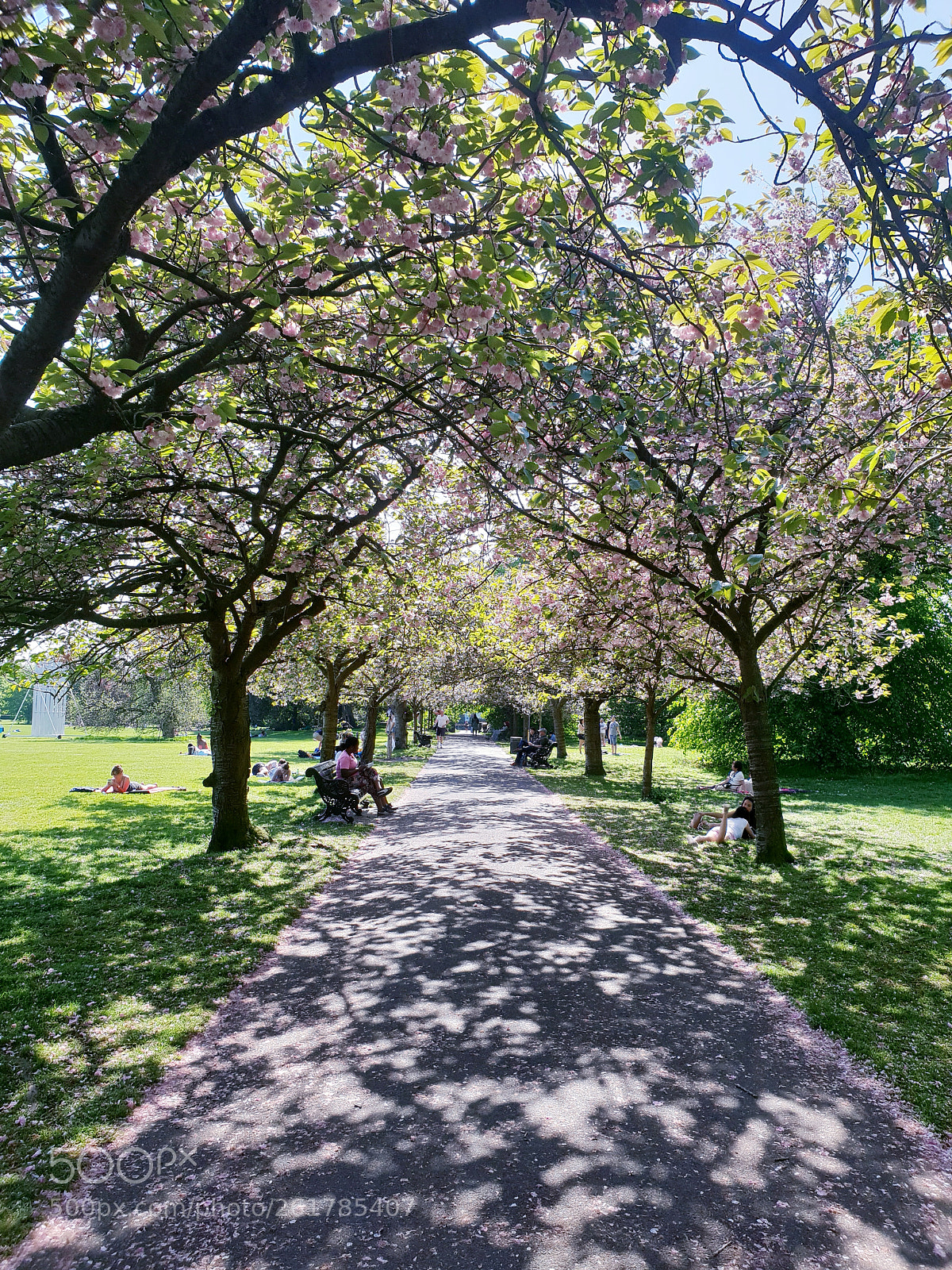 Samsung Galaxy S9 sample photo. The path of the photography