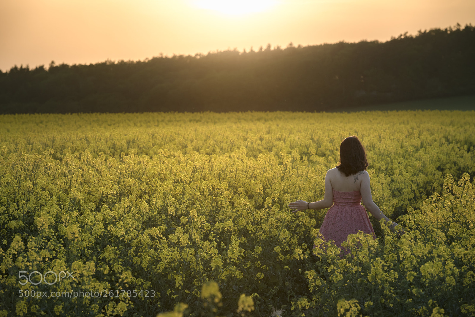 Nikon D750 sample photo. Girl wandering through rapeseed photography