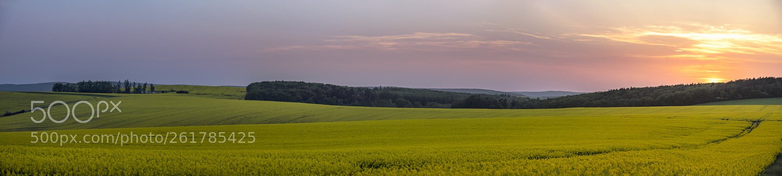 Nikon D750 sample photo. Beautiful sunset over hills photography