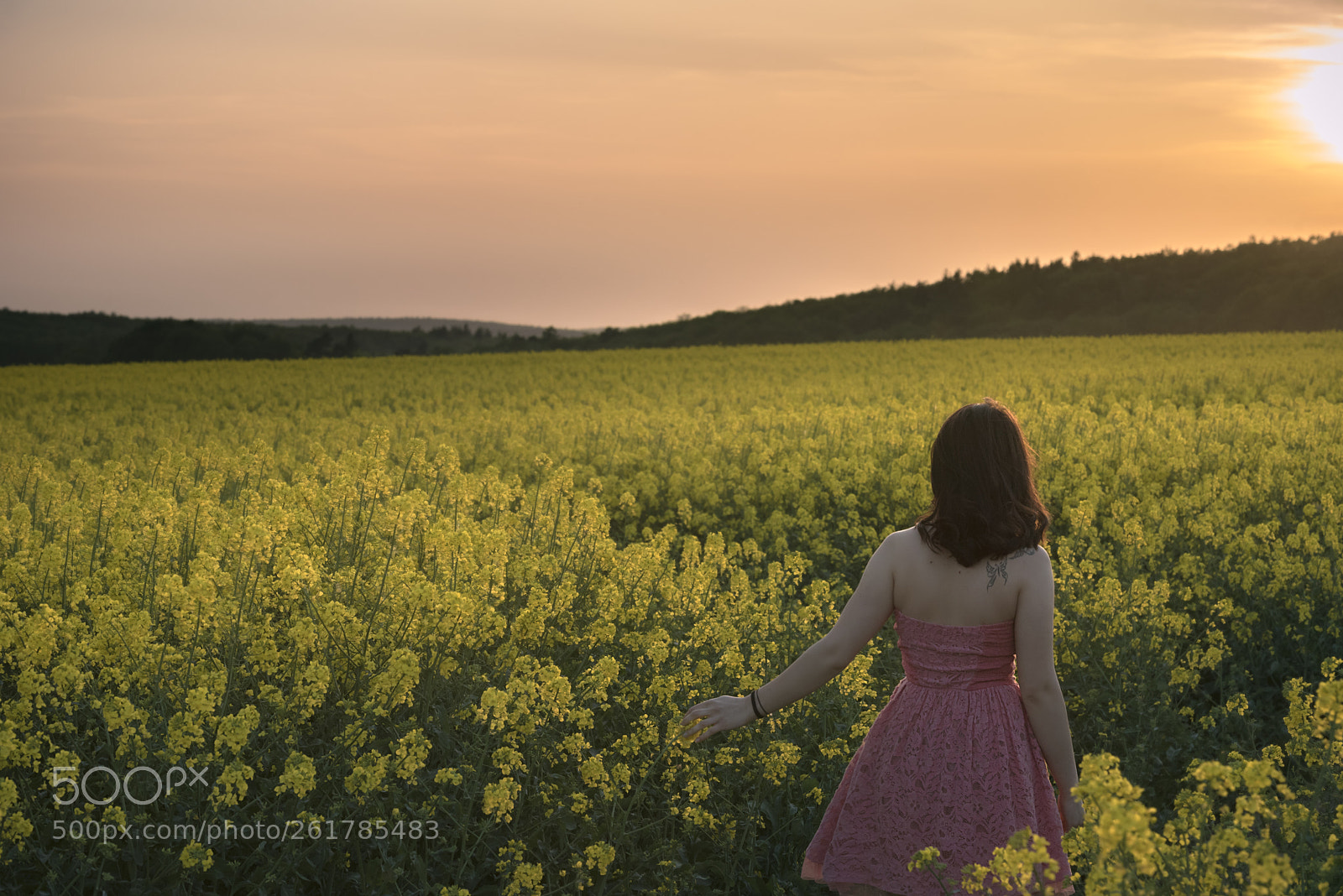 Nikon D750 sample photo. Woman walking through rapeseed photography