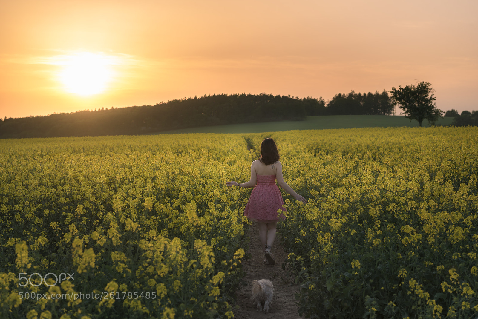 Nikon D750 sample photo. Woman wandering on a photography